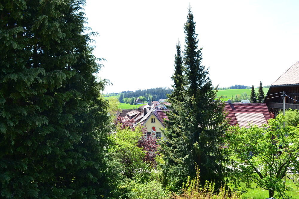 Black Forest Rooms Grafenhausen Bagian luar foto
